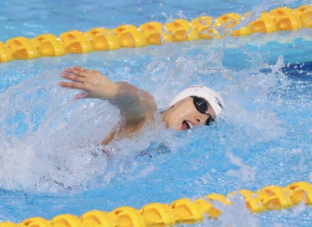 金年会平台-游泳争霸赛张雨霏100蝶夺冠 杨浚瑄打破亚洲纪录